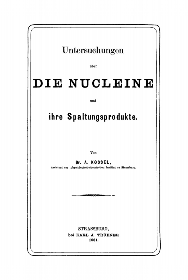 Untersuchungen uber die Nucleine und ihre Spaltungsprodukte German Edition A Kossel Kitap Kapağı