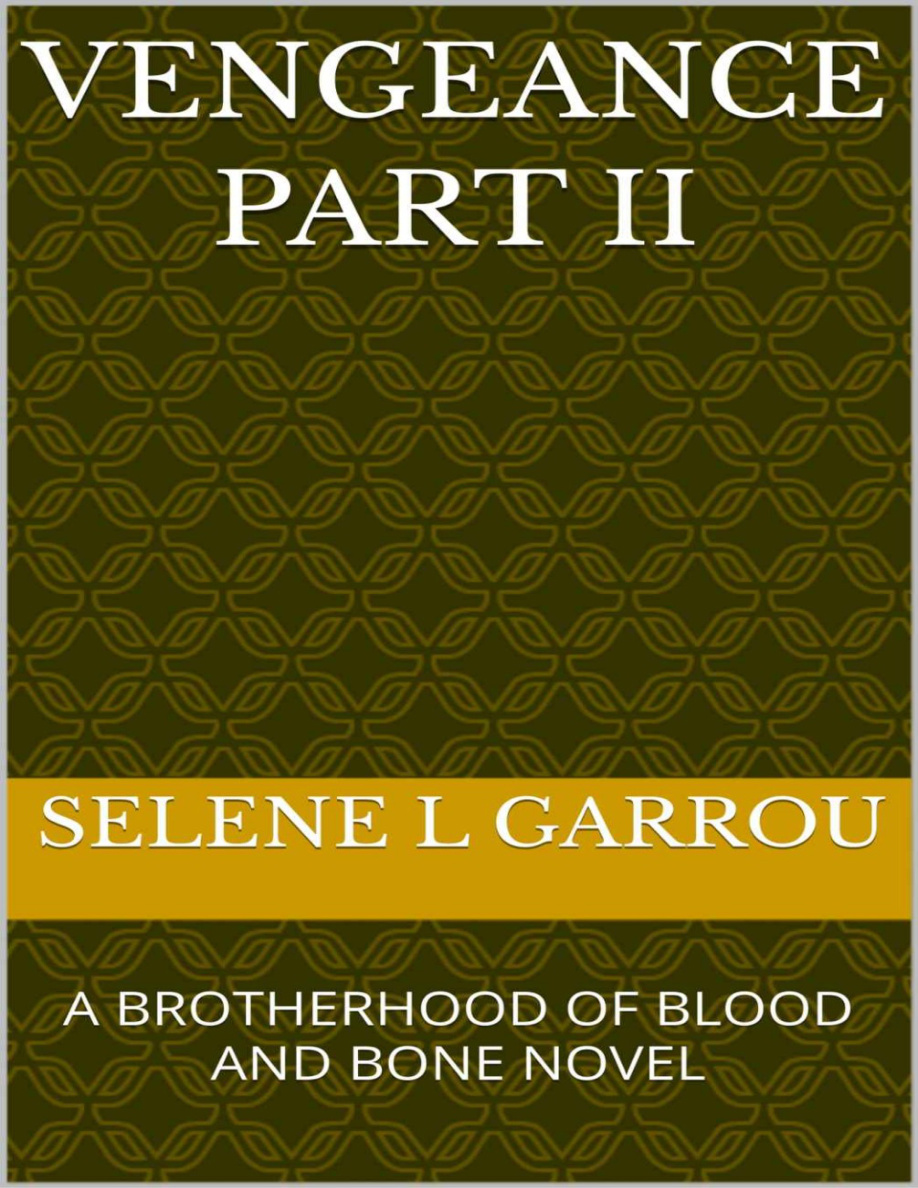 Vengeance Part 2 PDF Download