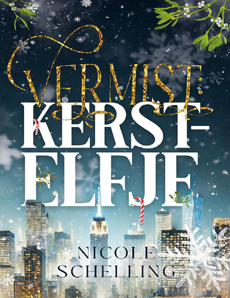 Vermist kerstelfje Dutch Edition Nicole schelling Kitap Kapağı