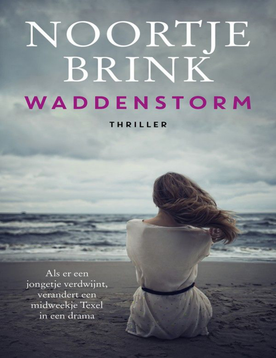 Waddenstorm Dutch Edition Noortje Brink Kitap Kapağı
