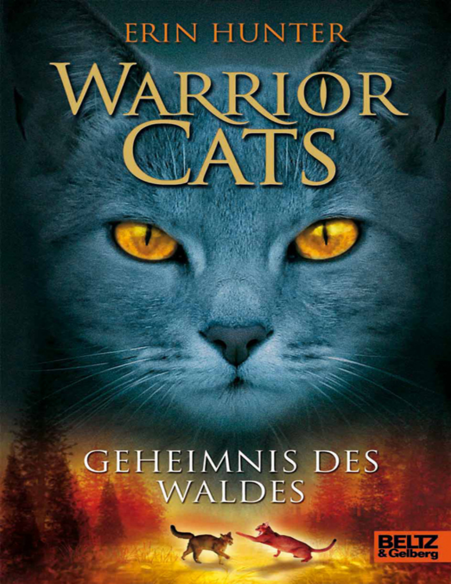 Warrior Cats: Geheimnis des Waldes PDF Download