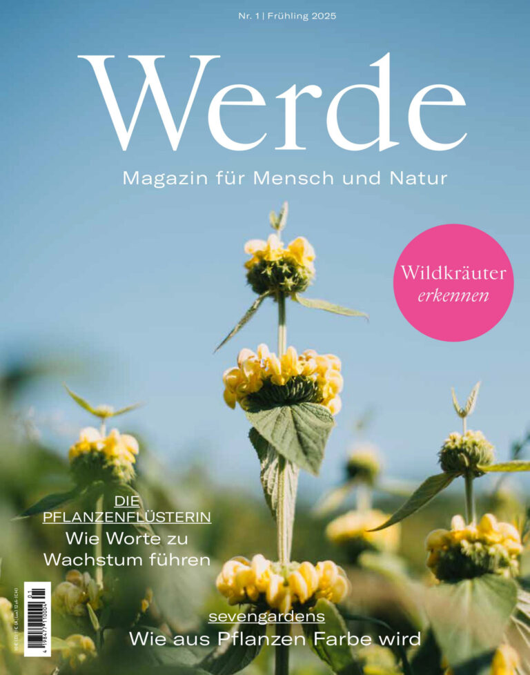 Werde Fruhling 2025 GER Werde Kitap Kapağı