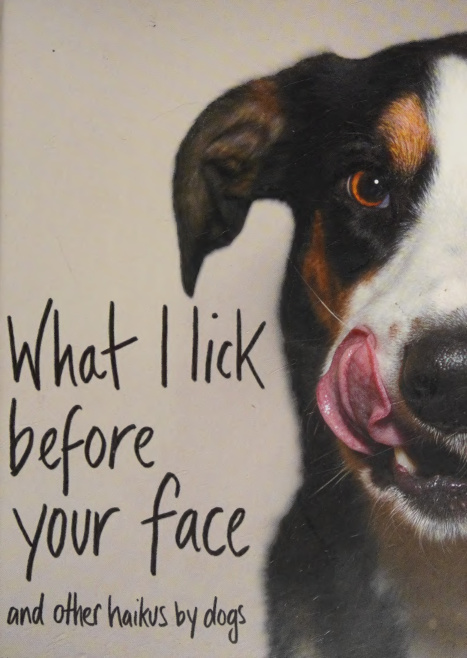 What I Lick Before Your Face Jamie Coleman Kitap Kapağı