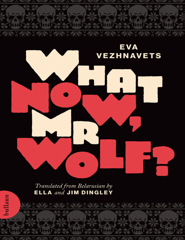 What Now Mr Wolf Eva Vezhnavets Kitap Kapağı