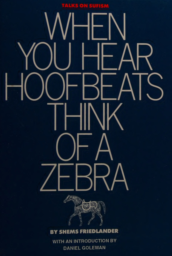 When You Hear Hoofbeats Think of a Zebra Shems Friedlander Kitap Kapağı