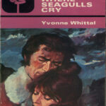 Where seagulls cry Yvonne whittal Kitap Kapağı