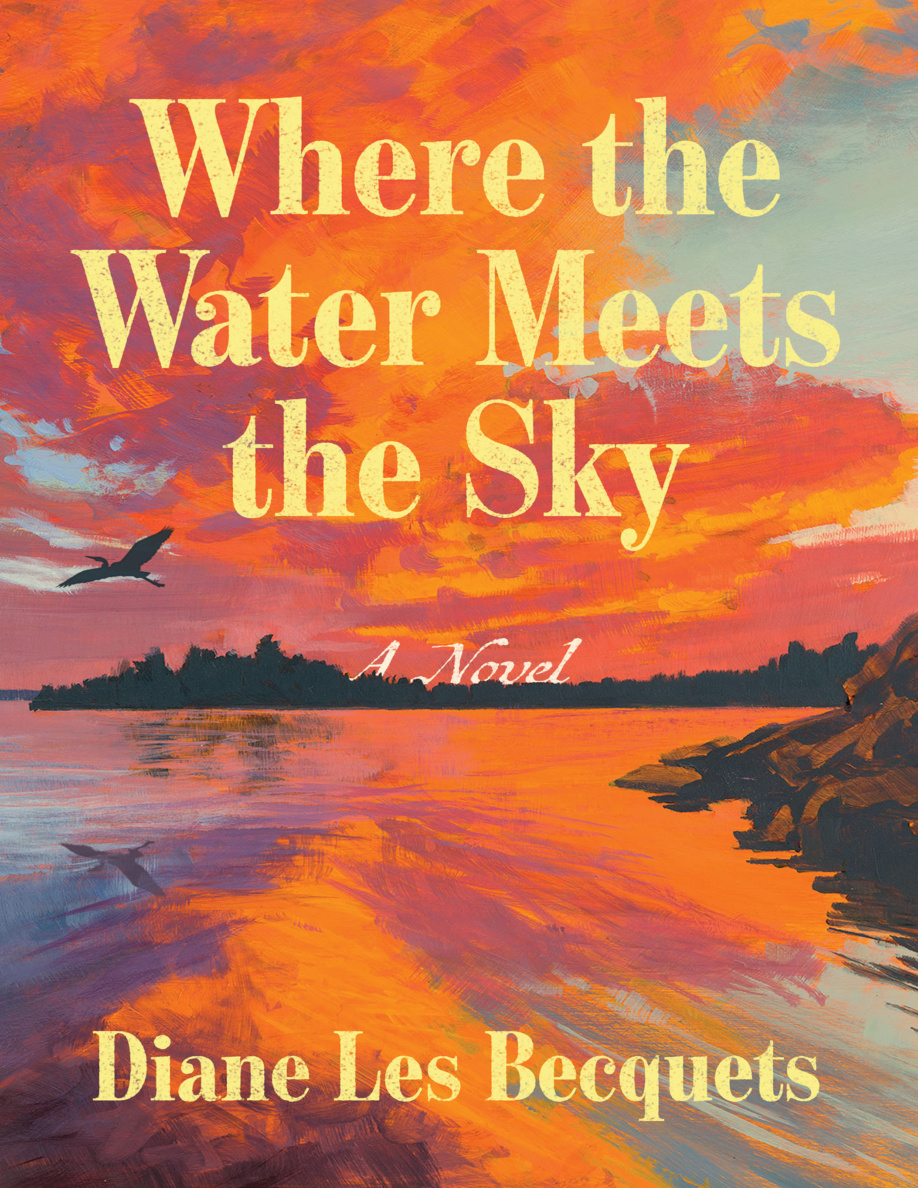 Where the Water Meets the Sky Diane Les Becquets Kitap Kapağı