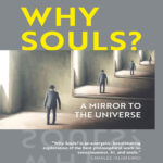 Why Souls A Mirror to the Universe Joshua R Farris Kitap Kapağı