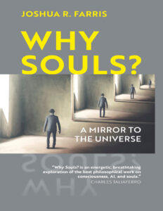 Why Souls A Mirror to the Universe Joshua R Farris Kitap Kapağı