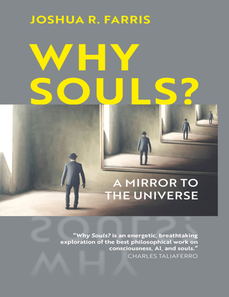 Why Souls A Mirror to the Universe Joshua R Farris Kitap Kapağı