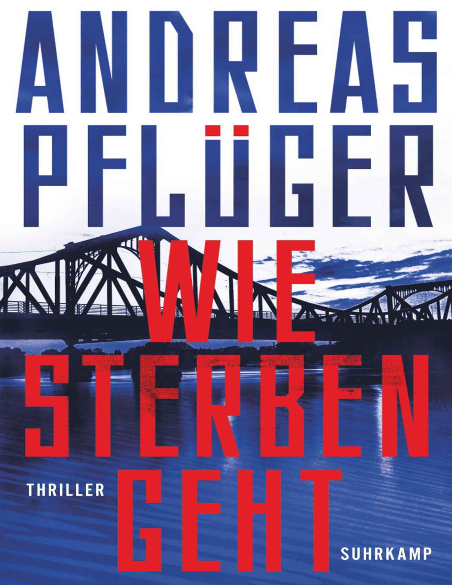 Wie Sterben geht PDF Download