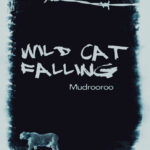 Wild Cat Falling Johnson Colin Kitap Kapağı