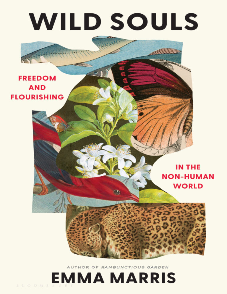 Wild Souls Freedom and Flourishing in the Non Human World Emma Marris Kitap Kapağı