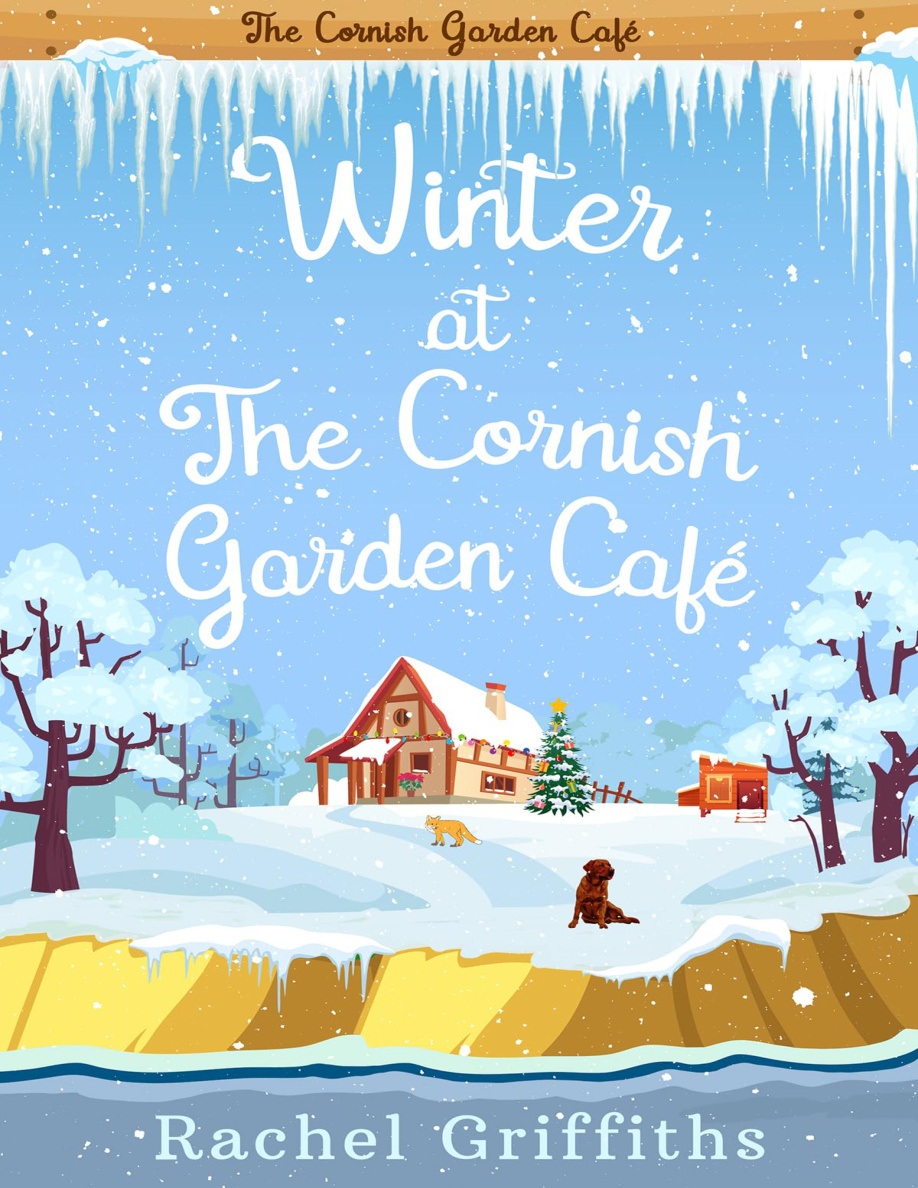 Winter at the Cornish garden cafe Rachel Griffiths Kitap Kapağı