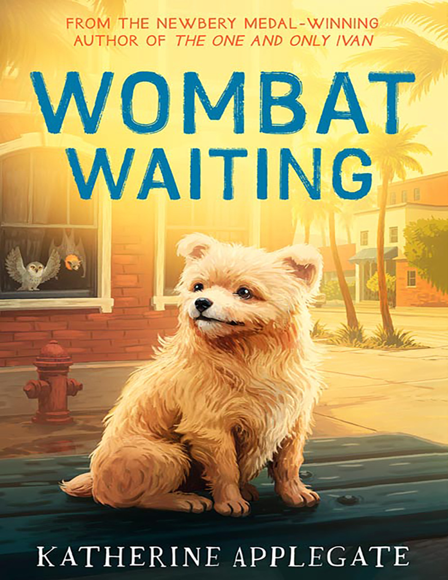 Wombat Waiting Katherine Applegate Kitap Kapağı