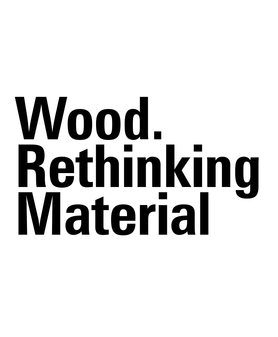 Wood Rethinking Material German Edition Architekturfakultat der Technischen Universitat Graz Kitap Kapağı