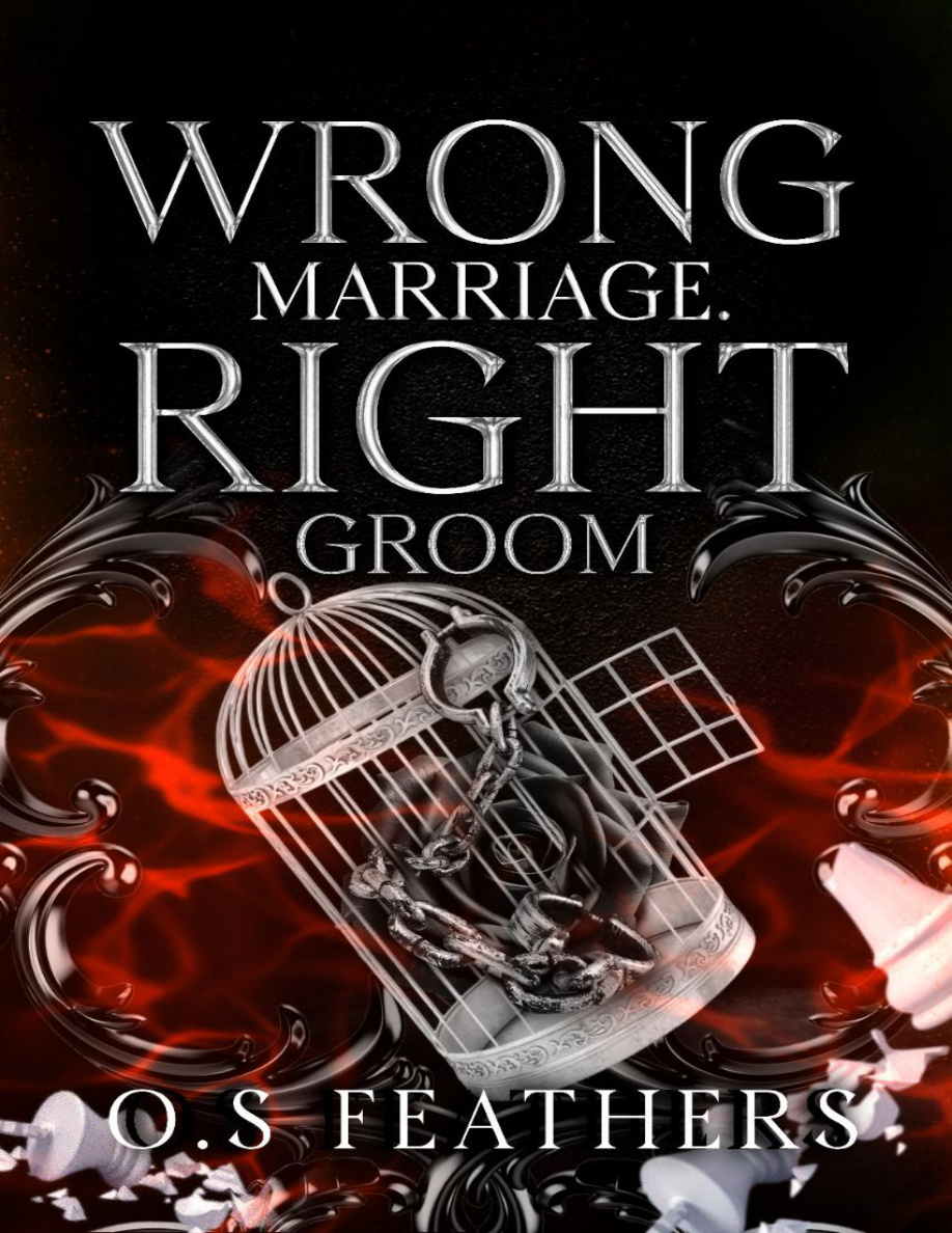 Wrong Marriage Right Groom OS Feathers Kitap Kapağı