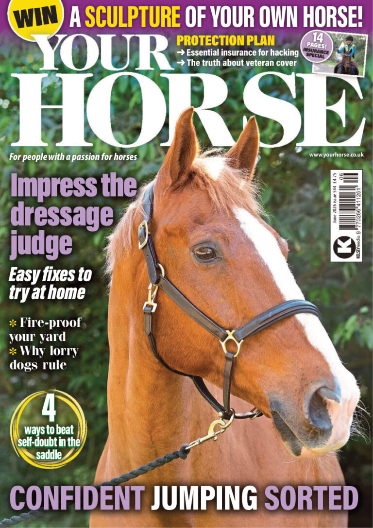 Your Horse June 2026 Your Horse Kitap Kapağı