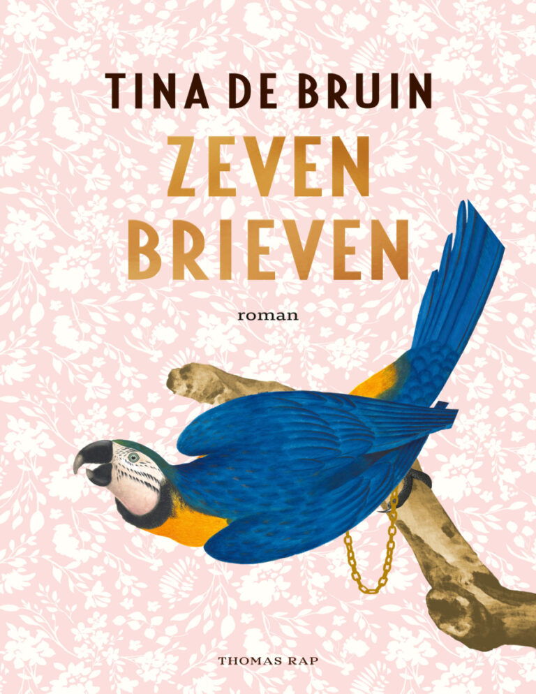 Zeven brieven Dutch Edition Tina de Bruin Kitap Kapağı