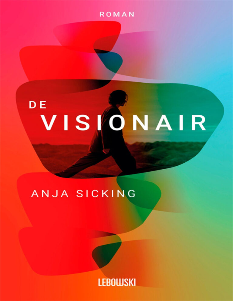 de visionair Dutch Edition Anja Sicking Kitap Kapağı