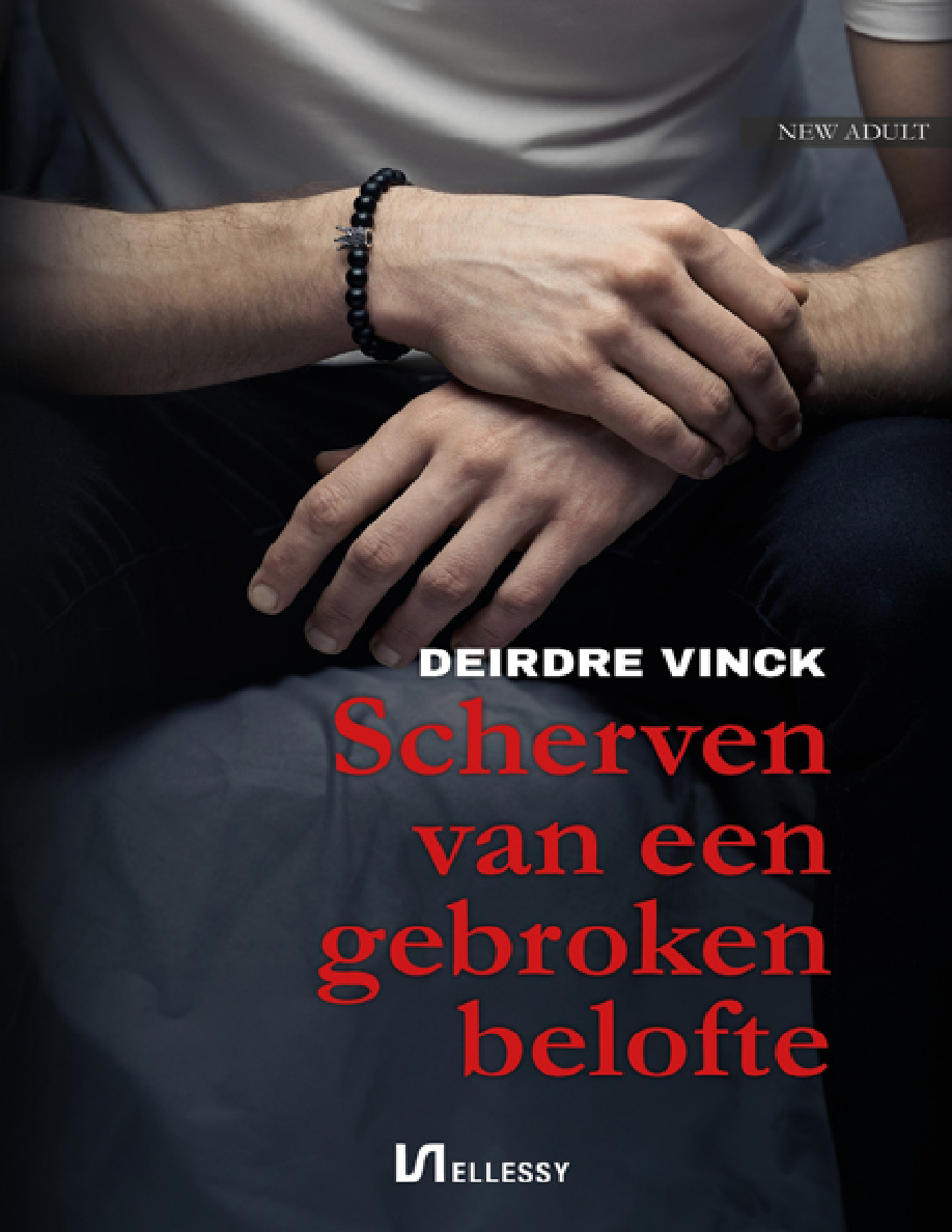 scherven van een gebroken belofte Dutch Edition Deirdre Vink Kitap Kapağı
