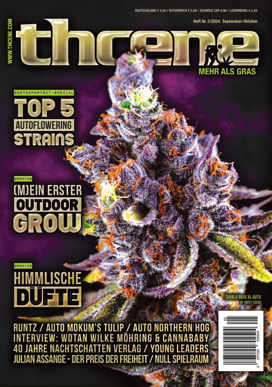 thcene - September/Oktober 2024 PDF Download