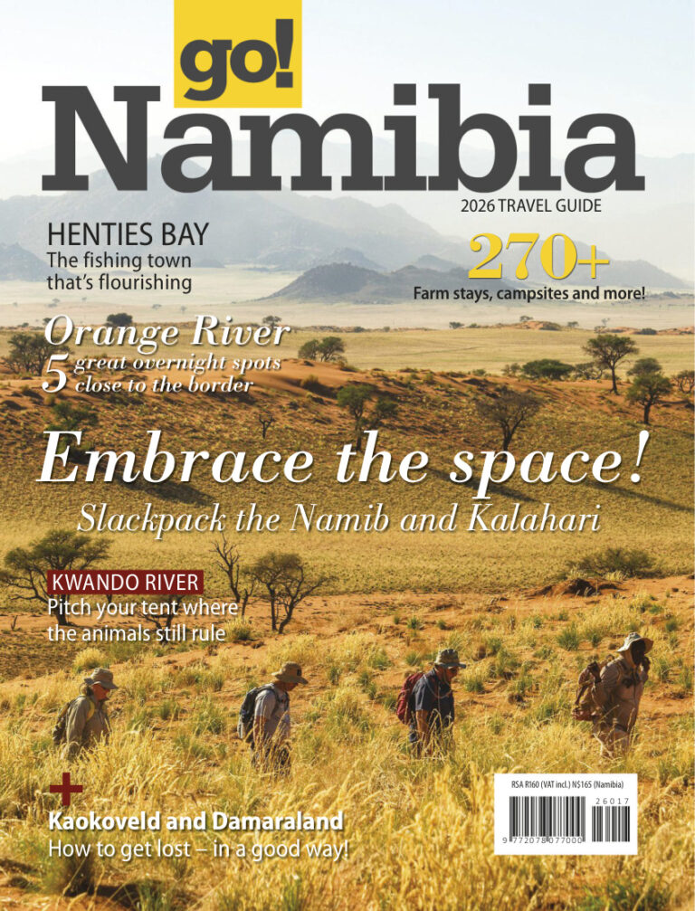 go South Africa go Namibia 2026 go South Africa Kitap Kapağı