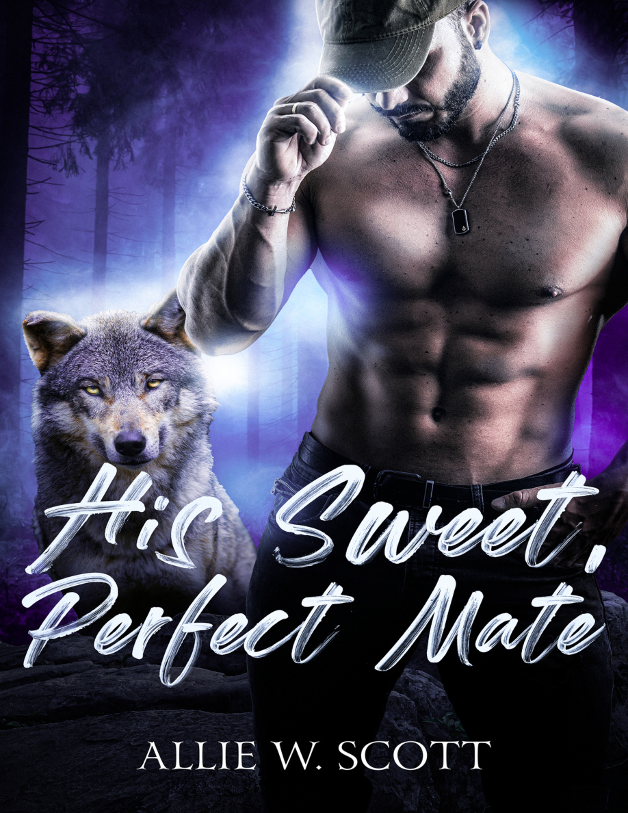 his sweet perfect mate PDF Download