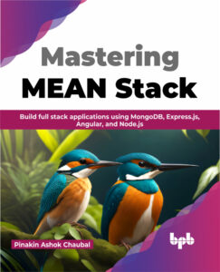 mastering mean stack Kitap Kapağı