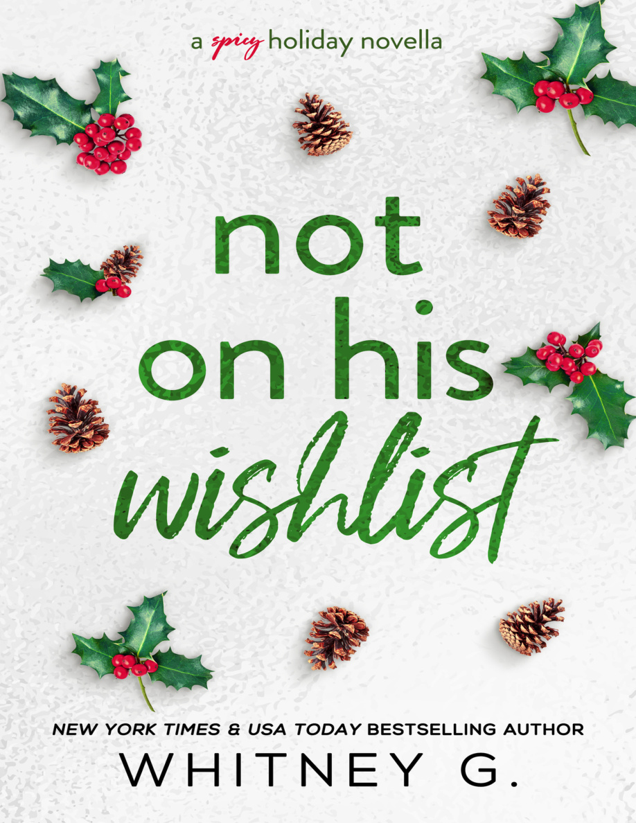 not on his wish list PDF Download