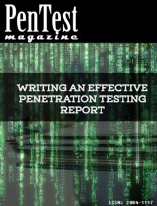 pentest report issue Kitap Kapağı