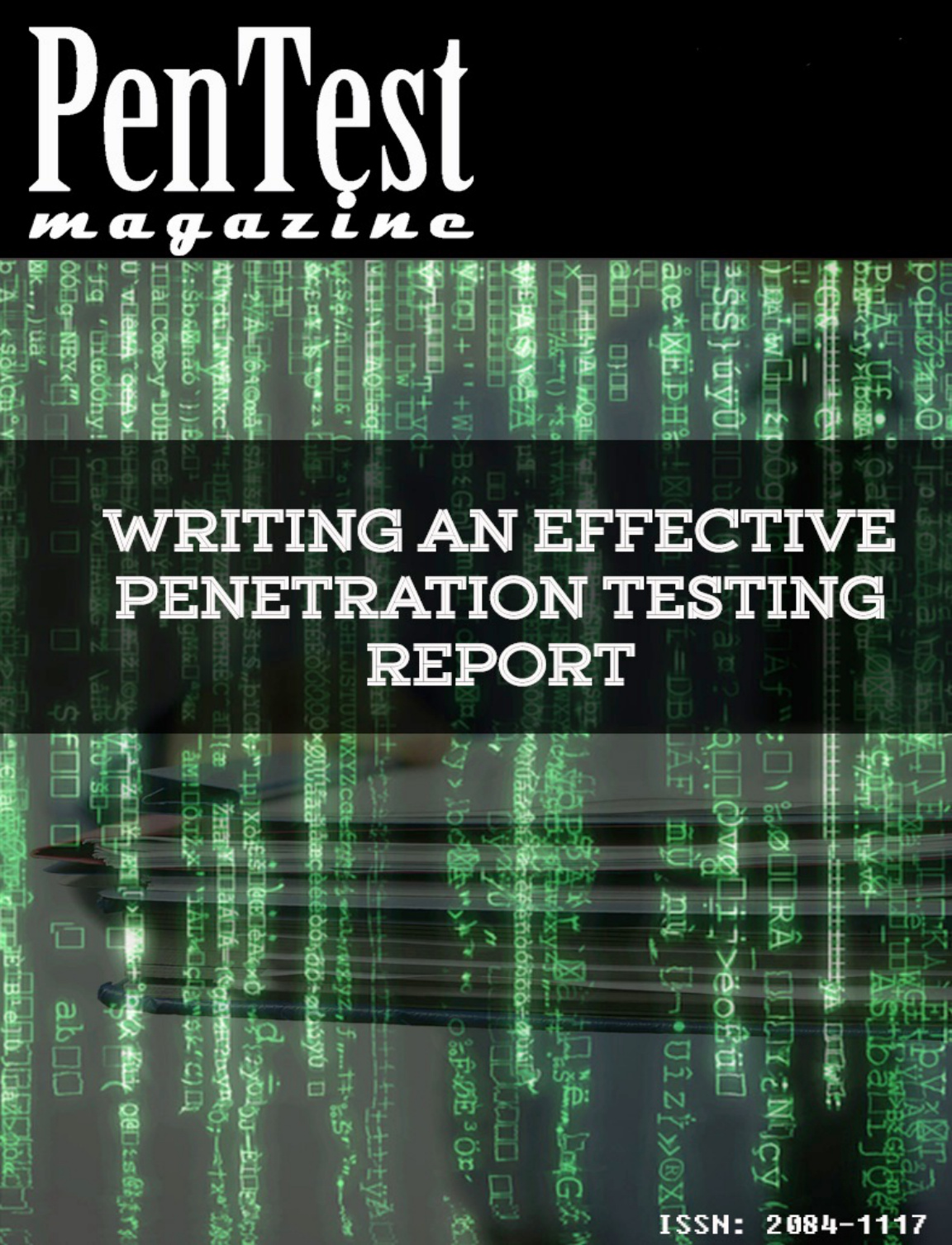 Penetration Testing Mitigation Report: Remediating System Vulnerabilities PDF Download