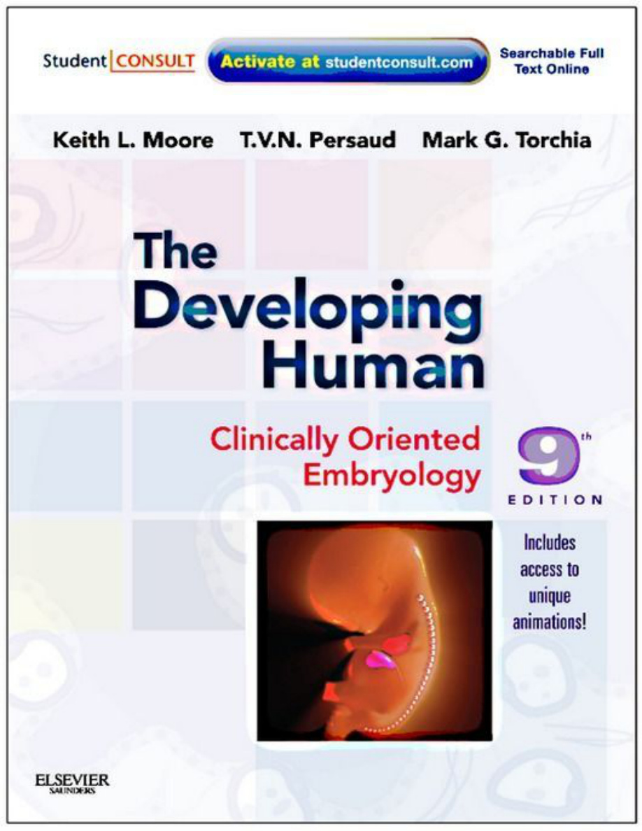 the developing human Keith L Moore Kitap Kapağı