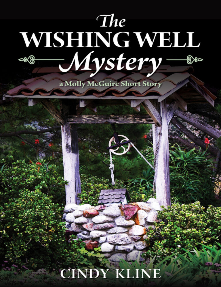 the wishing well mystery cindy kline Kitap Kapağı