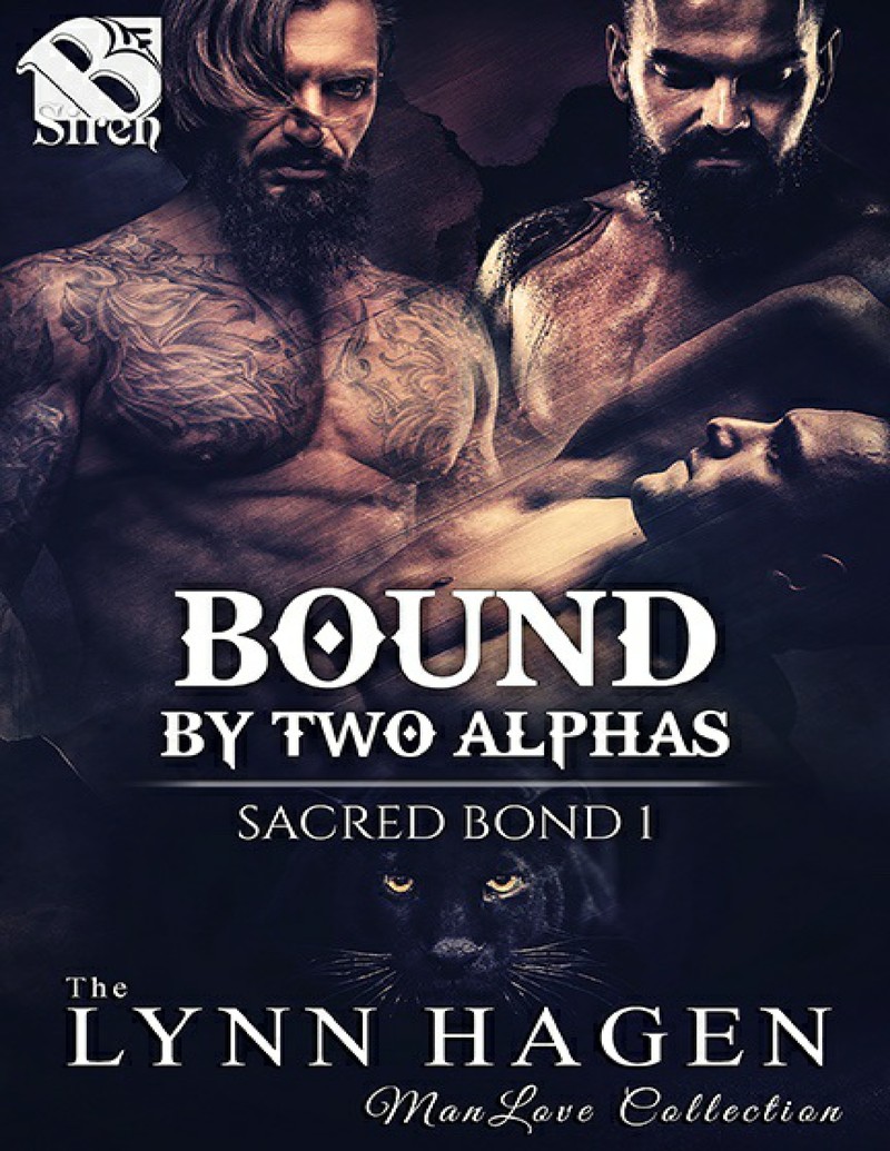 - Unknown book cover