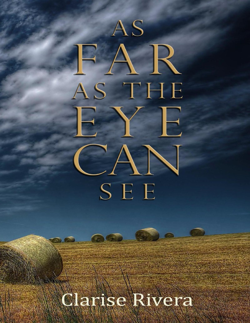  - Unknown book cover