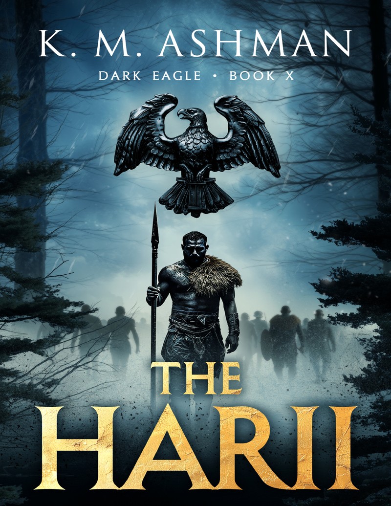 - Unknown book cover