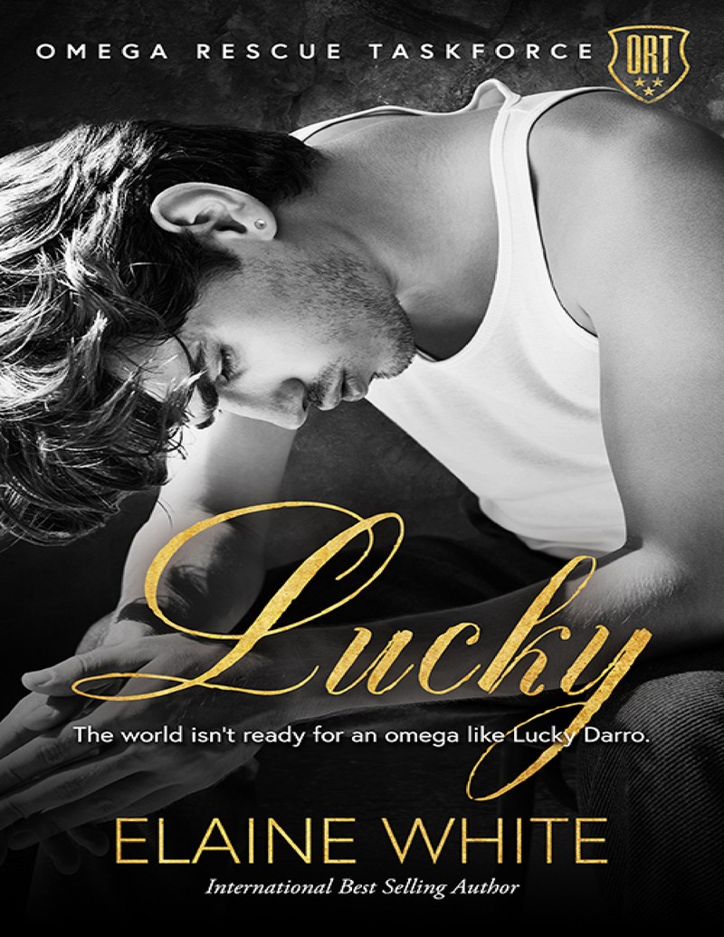 - Unknown book cover