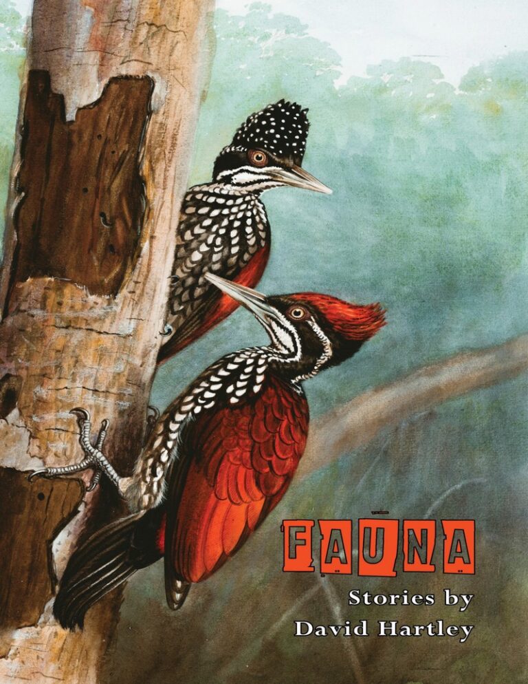 8b806d05b9d64cd8 Kitap Kapağı