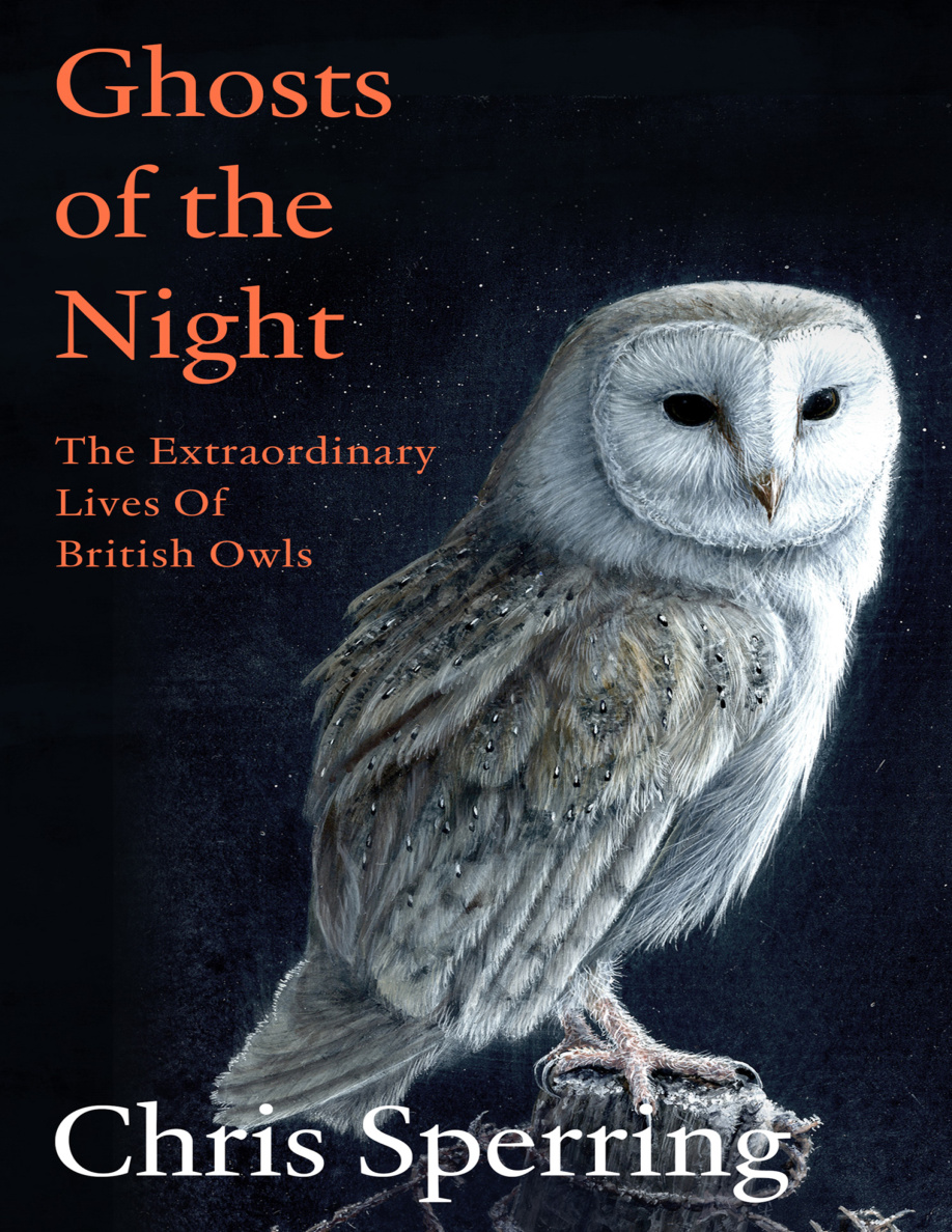 Ghosts of the Night PDF Download