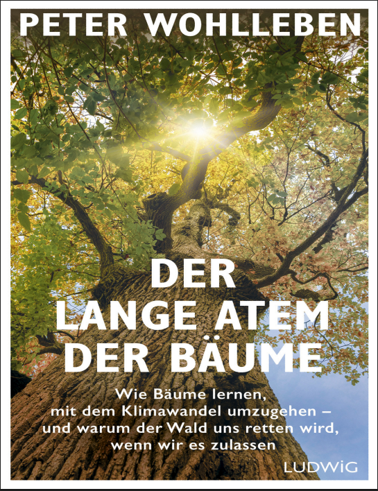 Peter Wohlleben – Der lange Atem der Bäume (Almanca PDF)