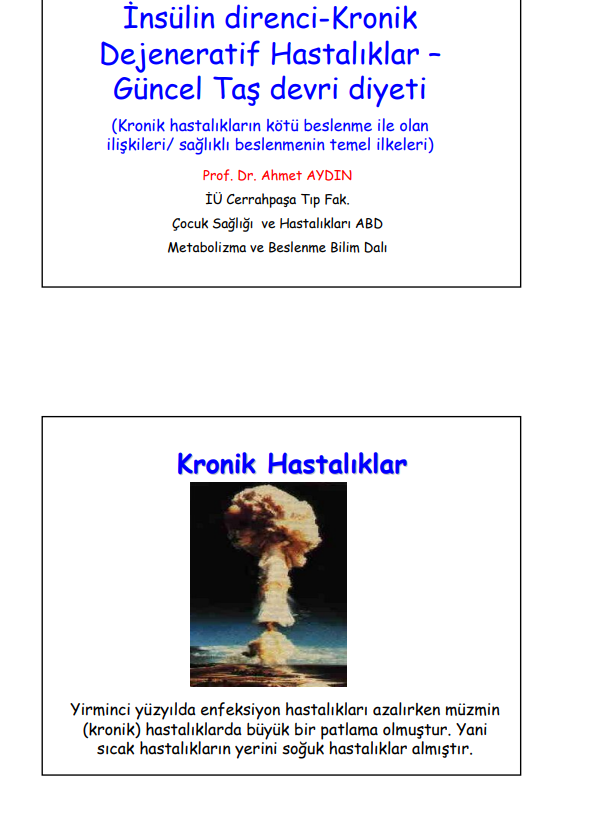 Diyet PDF | Ahmet Aydın