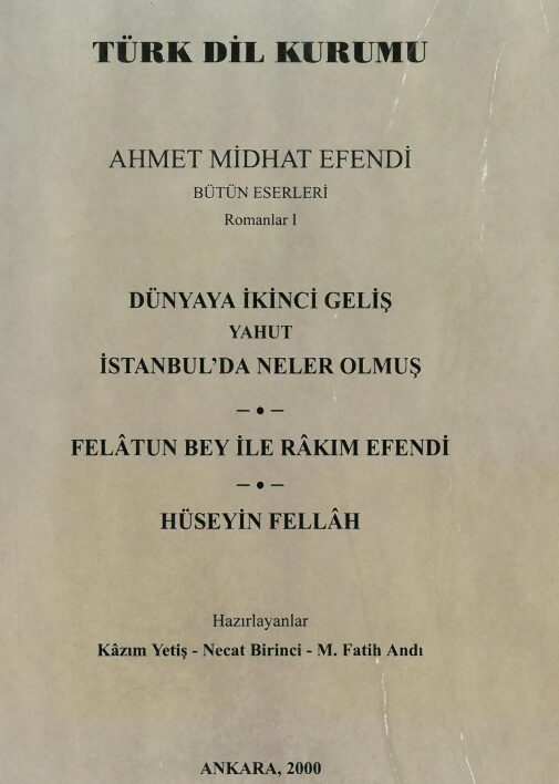 Romanlar 1: Dünyaya İkinci Geliş yahut İstanbul'da Neler Olmuş PDF