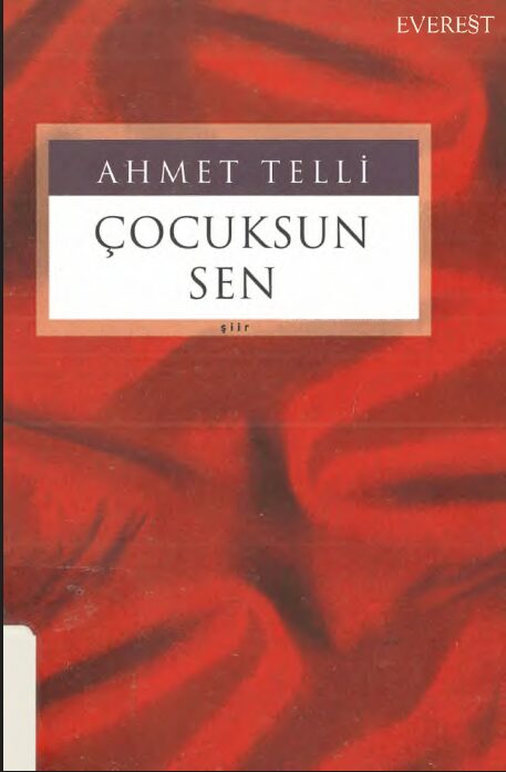 Çocuksun Sen PDF | Ahmet Telli