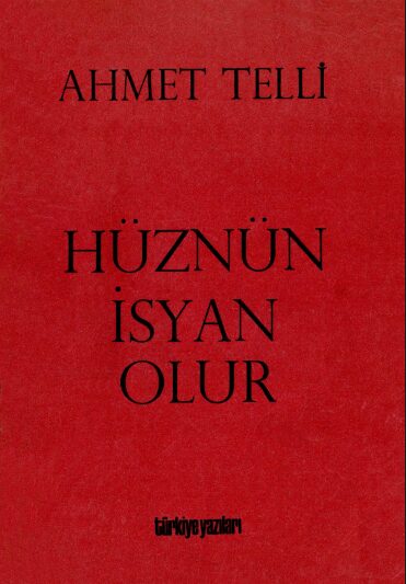 Hüznün İsyan Olur PDF | Ahmet Telli