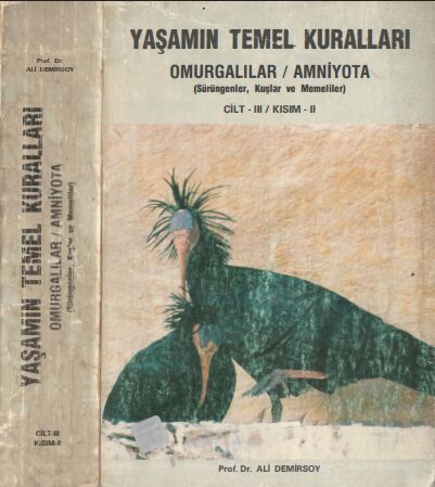 Yaşamın Temel Kuralları – Cilt III Kısım II PDF