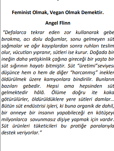 Feminist Olmak Vegan Olmak Demektir PDF – Angel Flinn