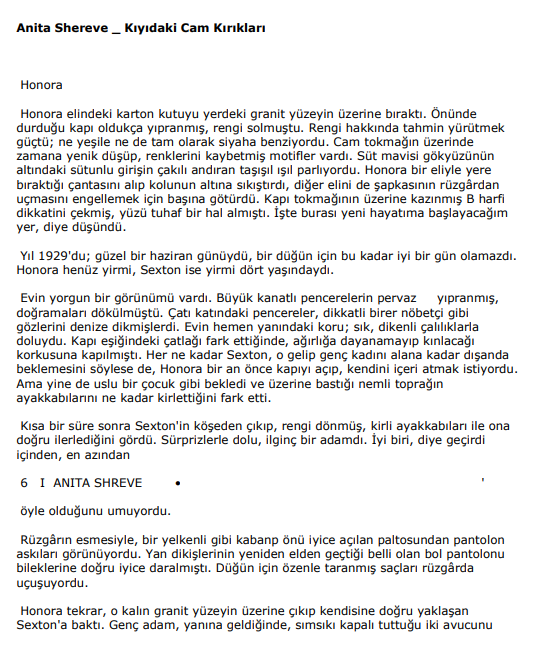 Kıyıdaki Cam Kırıkları PDF – Anita Shreve