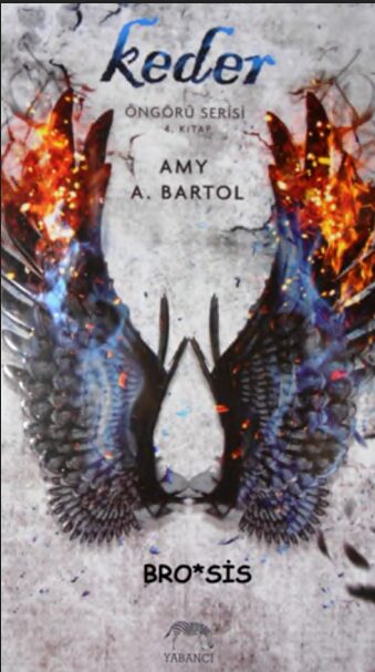 The Premonition #4: Keder PDF | Amy A. Bartol