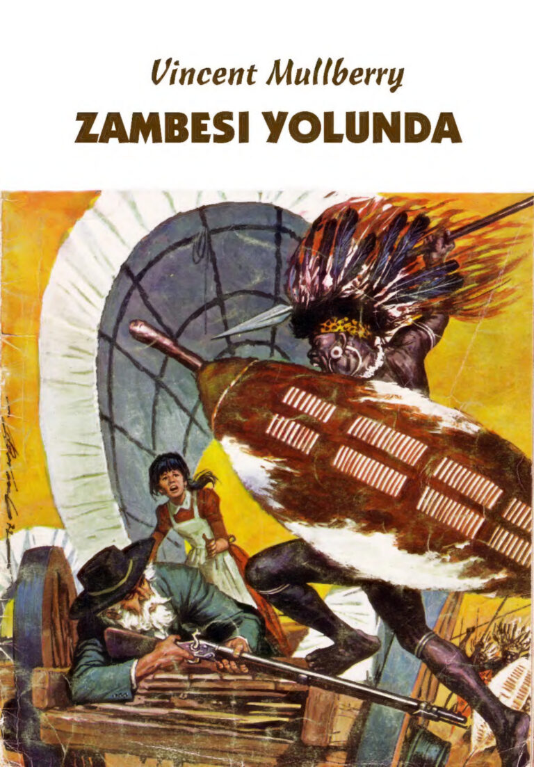 082 Zambesi Yolunda Kitap Kapağı